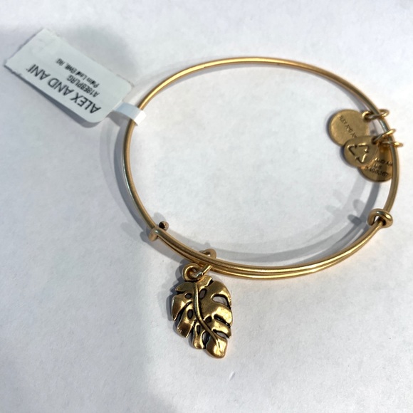 ALEX AND ANI bangle bundle - Picture 4 of 4